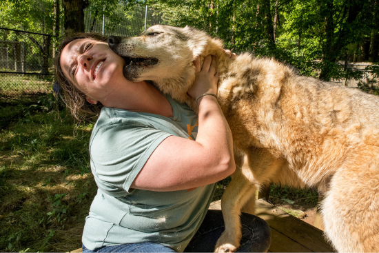 Sage_Sohier_©_Peaceable_Kingdom_57