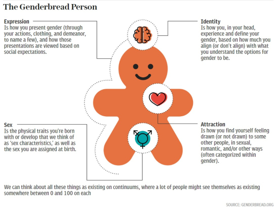 Genderbread