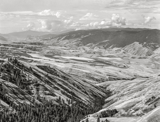 image from www.shorpy.com