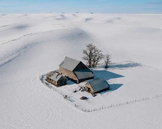 BrendonBurton5-scaled