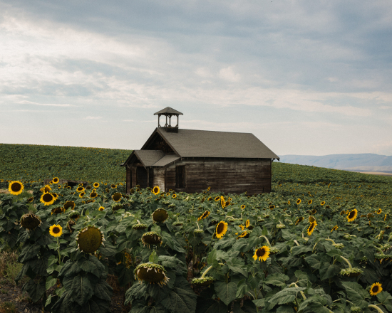 BrendonBurton3-scaled