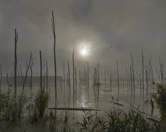 Moore-Vlei_Moonrise_2022-e1699539769585 Moore-Vlei_Moonrise_2022-e1699539769585