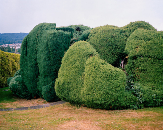 California-topiaries-marc-alcock-04