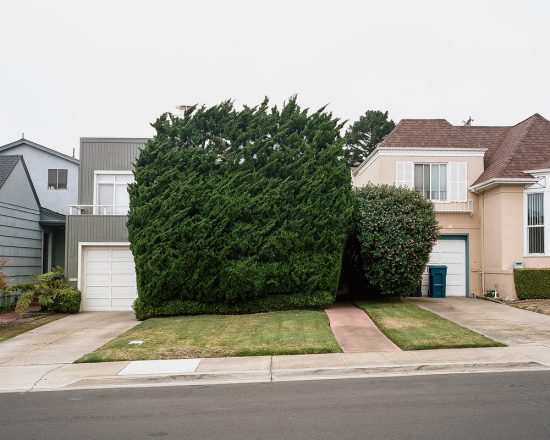 California-topiaries-marc-alcock-06