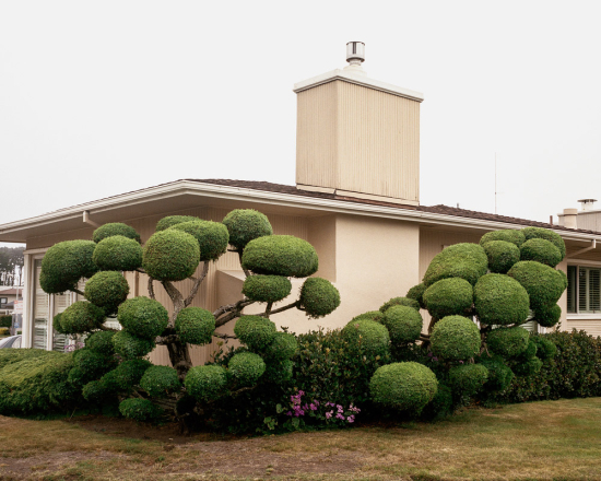 California-topiaries-marc-alcock-10
