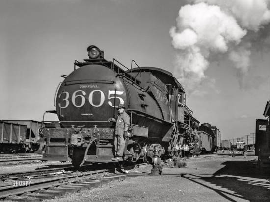 SHORPY-8d09741u