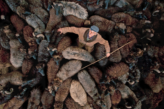 Drone-shepherd-with-herd_ivo-danchev