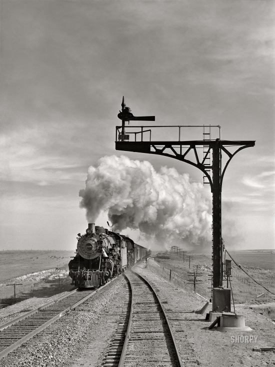 SHORPY-8d15319u