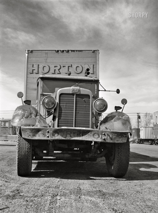 SHORPY-8d15435u