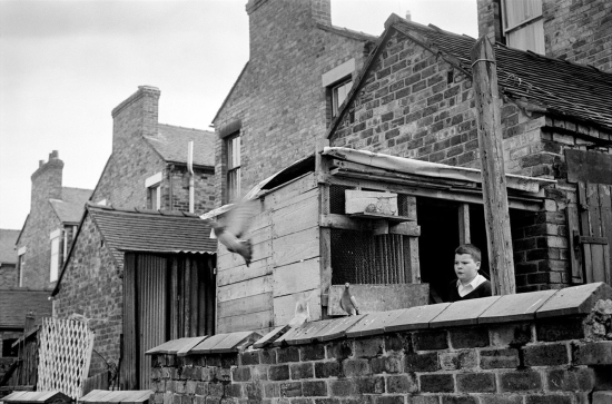 +Mark+Campbell+Stoke+on+Trent+2web120017