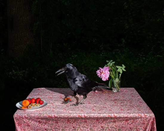 Screenshot 2025-02-08 152624