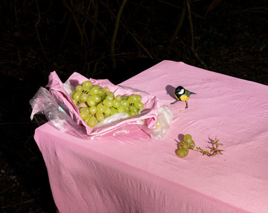 Screenshot 2025-02-08 152843