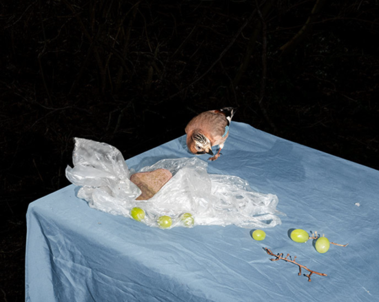 Screenshot 2025-02-08 152854