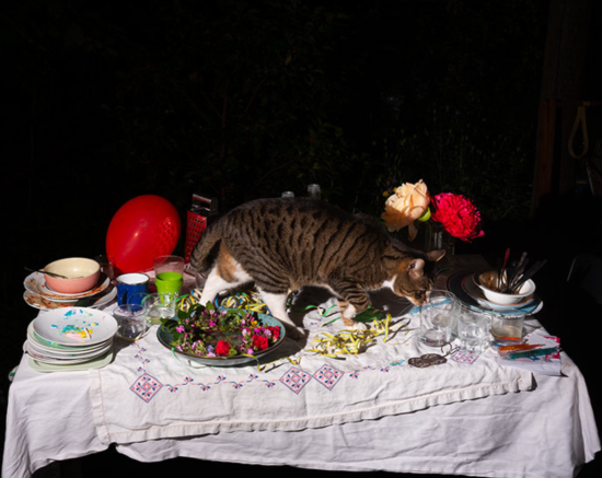 Screenshot 2025-02-08 152905