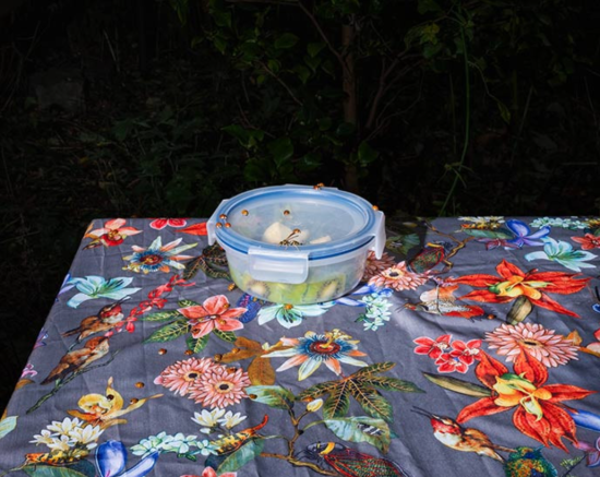 Screenshot 2025-02-08 152913