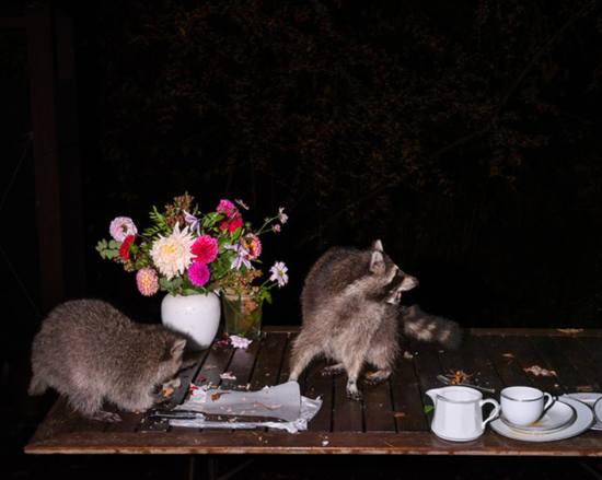 Screenshot 2025-02-08 152942