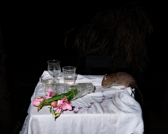 Screenshot 2025-02-08 152950