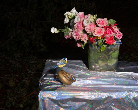 Screenshot 2025-02-08 152958