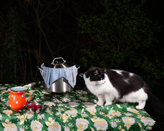 Screenshot 2025-02-08 153035