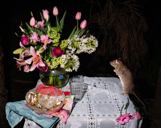 Screenshot 2025-02-08 153015