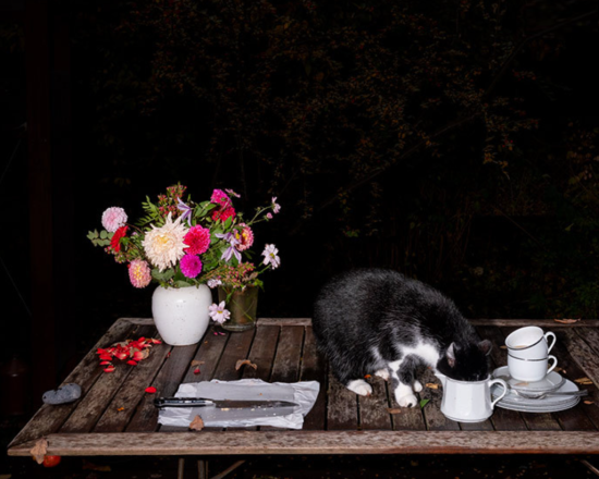 Screenshot 2025-02-08 153103