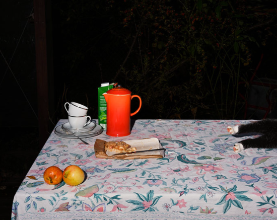 Screenshot 2025-02-08 153111