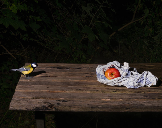 Screenshot 2025-02-08 153132