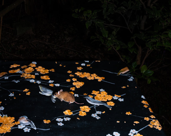 Screenshot 2025-02-08 153139