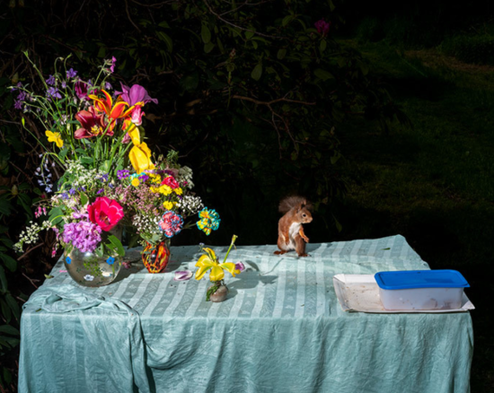 Screenshot 2025-02-08 153157