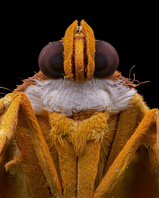 2_202410-scaled